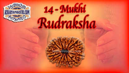 Strengths, Benefits and Importance of 14 Mukhi Rudraksha (Fourteen Face Rudraksha) By Acharya V Shastri.